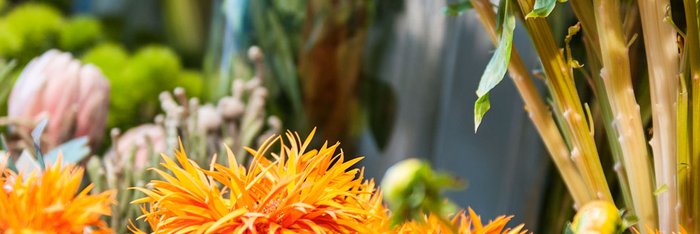 Vielfältige Auswahl an Schnittblumen im Blumenfachgeschäft Fürth, Nürnberg, Erlangen