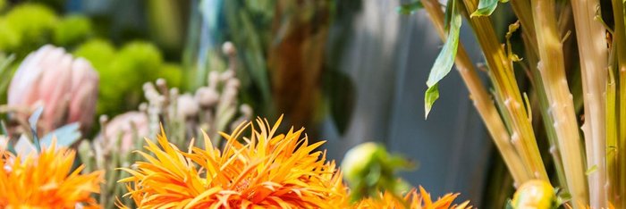 Vielfältige Auswahl an Schnittblumen im Blumenfachgeschäft Fürth, Nürnberg, Erlangen