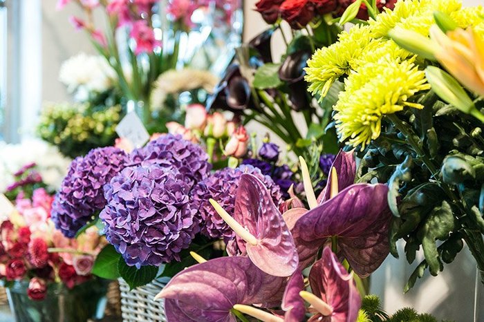 Vielfältige bunte Schnittblumen in ihrem Blumenfachgeschäft Fürth, Nürnberg, Erlangen